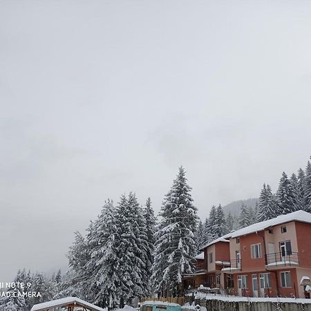 Вили Сара Orlino المظهر الخارجي الصورة